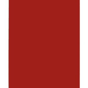 SUBCARPETA SIMPLES INTENSAS 250 GRS FOLIO COLOR ROJO PAQ. 50