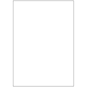 CAJA 100 HOJAS ETIQUETAS BLANCAS SIN MÁRGENES-LÁSER/INYECCIÓN DE TINTA/FOTOCOPIADORAS-210X297 MM
